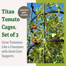 an tomato cages set of 3 walmart com