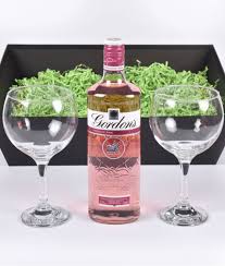 gordons pink gin tonic gles gift