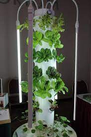 Maybe you would like to learn more about one of these? A Tower Garden On Display At The Conference The Towers Use Only 10 Percent Of The Space And Water As A Traditional Garden According To Kristen Lovell Who Manned The Juice Plus