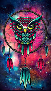 neon owl hd phone wallpaper peakpx