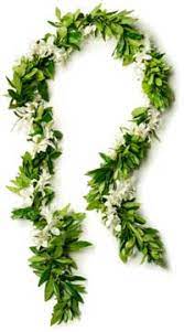 For the bride, a lei of wedding flowers is often made from flowers like rosebuds, pink and white pikake, orchids or white ginger flowers. Wedding Leis Flowers Wedding Leiswedding Leis
