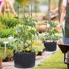 Grow Bag Gardening Pros And Cons And