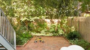 best privacy trees for shady areas 5