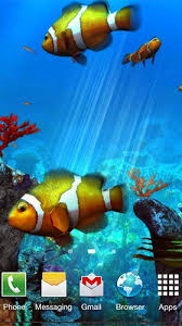 clownfish aquarium 3d live wallpaper