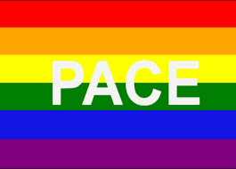Die regenbogenfahne als symbol für akzeptanz und gleichberechtigung von menschen, die sich nicht mit normen rund um geschlecht und sexualität identifizieren, hat bei diesem spiel eine ganz. Regenbogenfahne Peacefahne Pacefahne Und Genderfahnen