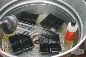 How To Disinfect Seed Trays The