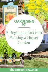 A Beginners Guide To Planting A Flower