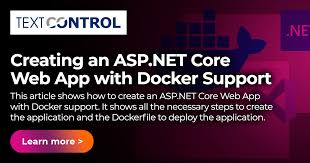 asp net core web app with docker