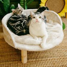 Plush Raised Cat Bed Apollobox