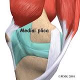 Image result for icd 10 code for right knee plica