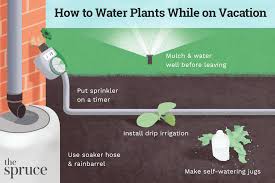 how to water plants while you re away