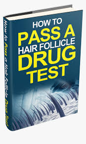 Hair follicle drug tests can detect marijuana use starting in case you have a doubt on passing your hair drug test, you should consider making use of hair follicle shampoo. Learn How To Pass A Hair Follicle Drug Test Hd Png Download Transparent Png Image Pngitem