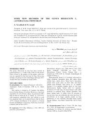 (PDF) Some new records of the genus Hieracium L.(Asteraceae ...
