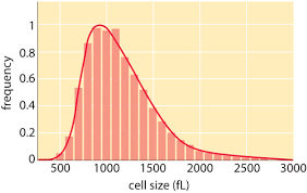 How Big Is A Human Cell