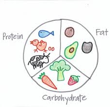 Macronutrients Chart Child Draw Balanced Diet Photo Shared