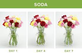 How To Make Flowers Last Longer 9