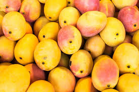mango makes your mouth itch