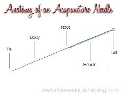 Points Newsletter Anatomy Of An Acupuncture Needle March