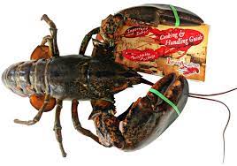 how to cook the perfect lobster