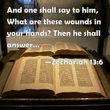Zechariah 13:6 And one shall say to him, What are these wounds in your hands? Then he shall answer, Those with which I was wounded in the house of my friends.