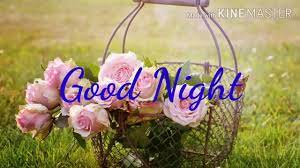 good night sweet dreams whatsapp