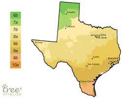 planting zones texas hardiness