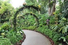 singapore botanic gardens garden