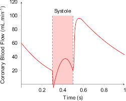 Coronary Circulation Part One