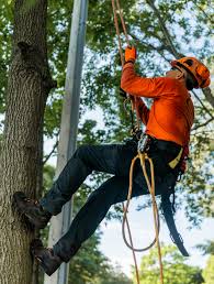 open positions integrity tree services