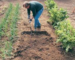 Digging Techniques In Gardening Al
