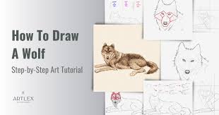 how to draw a wolf a step by step