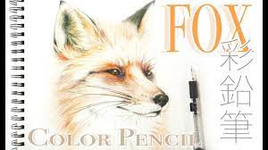 Drawing a Fox - How to draw a Fox with Color Pencils - Fox sketch 彩色鉛筆畫狐狸彩鉛 狐狸素描Drawing Tutorial - YouTube