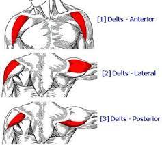 a review of p90x shoulders and arms