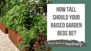 how tall should your raised garden beds