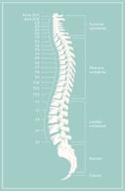 This page includes the following topics and synonyms: Scheuermann S Kyphosis Atlanta Brain And Spine Care