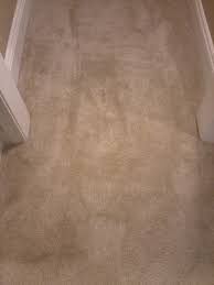 carpet cleaning lake forest dan the