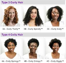 Hair Type Chart 2 Black African Woman
