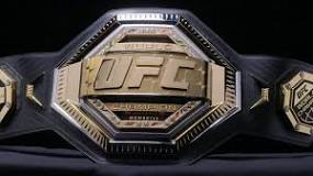 Image result for How Much Is WWE Belt In south Africa