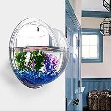 plant wall hanging mount bubble