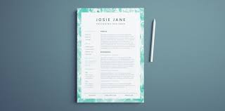 Creative Resume Template Free Indesign Templates