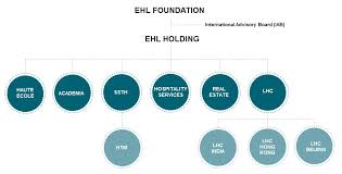Our Organizational Structure Ehl