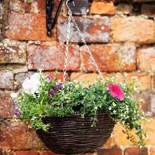 Smart Garden Rattan Hanging Basket