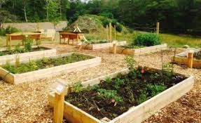 A Community Garden Project Reflection