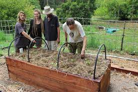 Water Saving Wicking Bed Permaculture