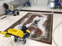 area rug cleaning in murfreesboro tnt