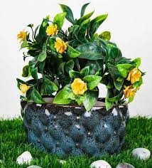 blue ceramic sofa bonzai design planter