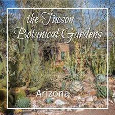 The Tucson Botanical Gardens