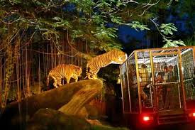 The night safari currently houses over 2,500 animals representing over 130 species, of which 38% are threatened species. Night Safari Singapore Travel Dmc