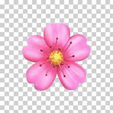 cherry blossom emoji flower pink