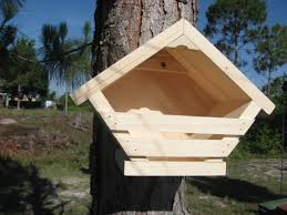 Mourning Dove Birdhouse Or Nesting Box
